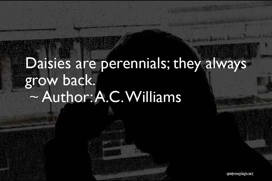 A.C. Williams Quotes: Daisies Are Perennials; They Always Grow Back.