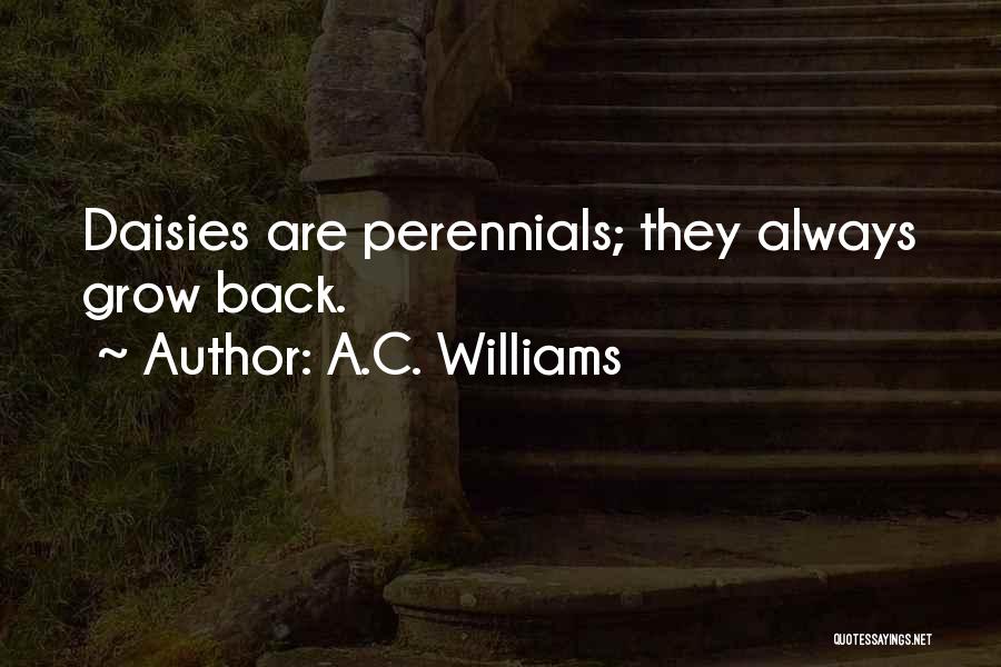 A.C. Williams Quotes: Daisies Are Perennials; They Always Grow Back.