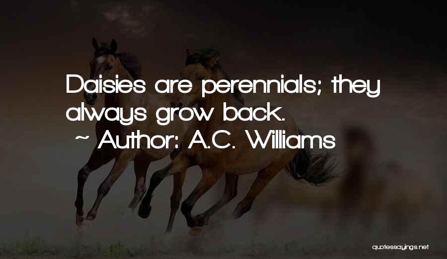 A.C. Williams Quotes: Daisies Are Perennials; They Always Grow Back.