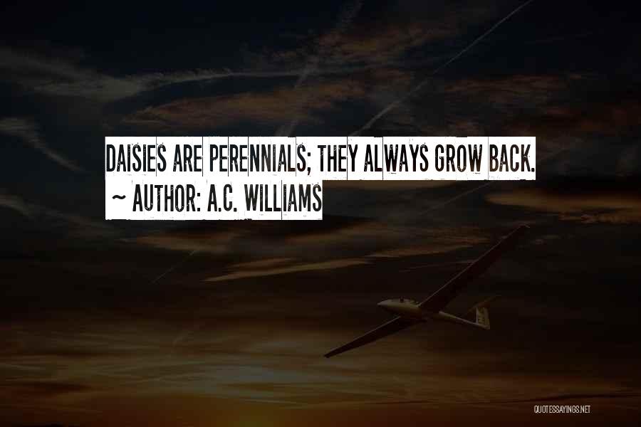 A.C. Williams Quotes: Daisies Are Perennials; They Always Grow Back.