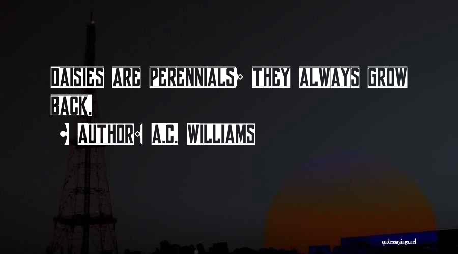 A.C. Williams Quotes: Daisies Are Perennials; They Always Grow Back.