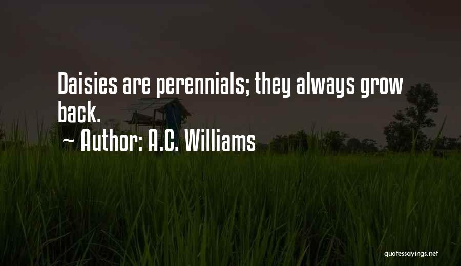 A.C. Williams Quotes: Daisies Are Perennials; They Always Grow Back.