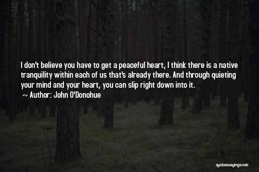 John O'Donohue Quotes: I Don't Believe You Have To Get A Peaceful Heart, I Think There Is A Native Tranquility Within Each Of