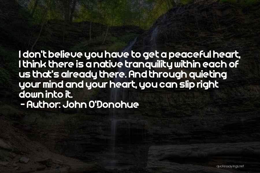 John O'Donohue Quotes: I Don't Believe You Have To Get A Peaceful Heart, I Think There Is A Native Tranquility Within Each Of