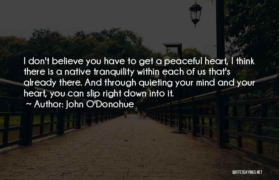 John O'Donohue Quotes: I Don't Believe You Have To Get A Peaceful Heart, I Think There Is A Native Tranquility Within Each Of