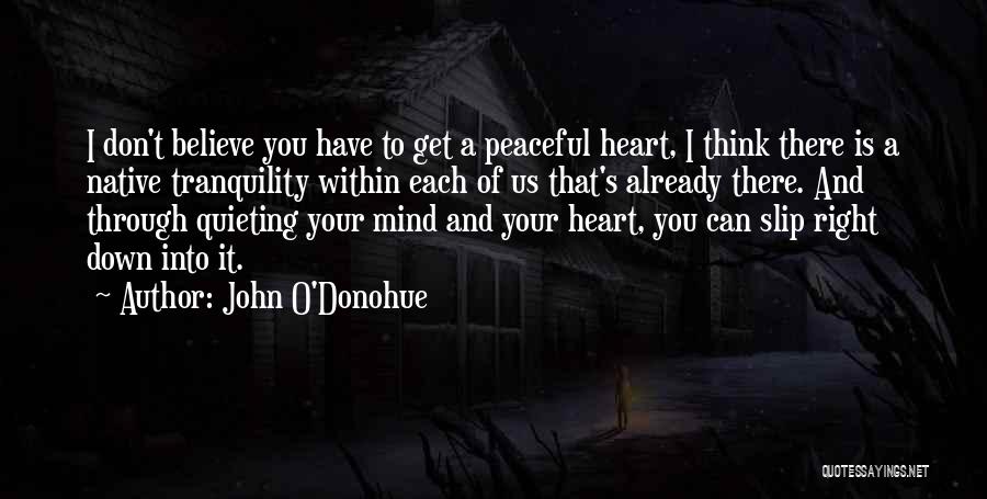 John O'Donohue Quotes: I Don't Believe You Have To Get A Peaceful Heart, I Think There Is A Native Tranquility Within Each Of