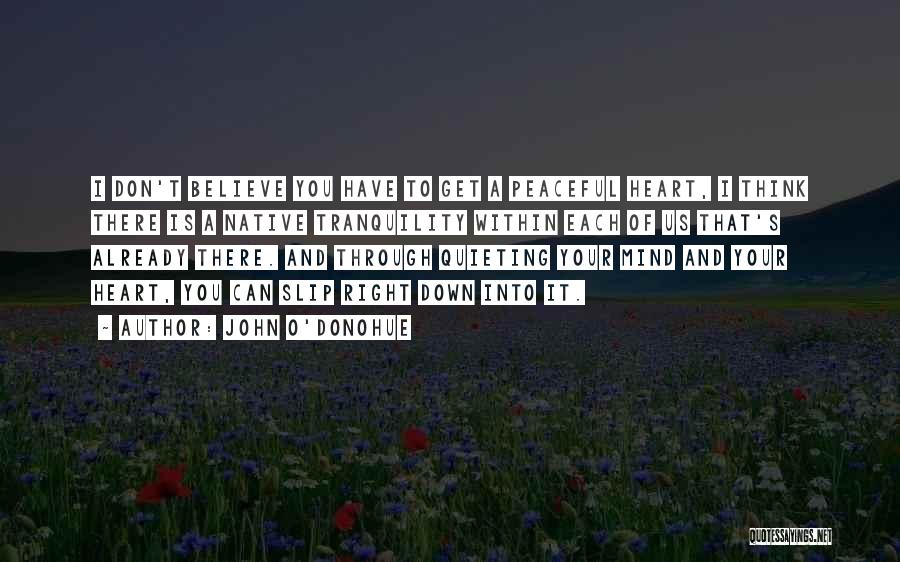 John O'Donohue Quotes: I Don't Believe You Have To Get A Peaceful Heart, I Think There Is A Native Tranquility Within Each Of