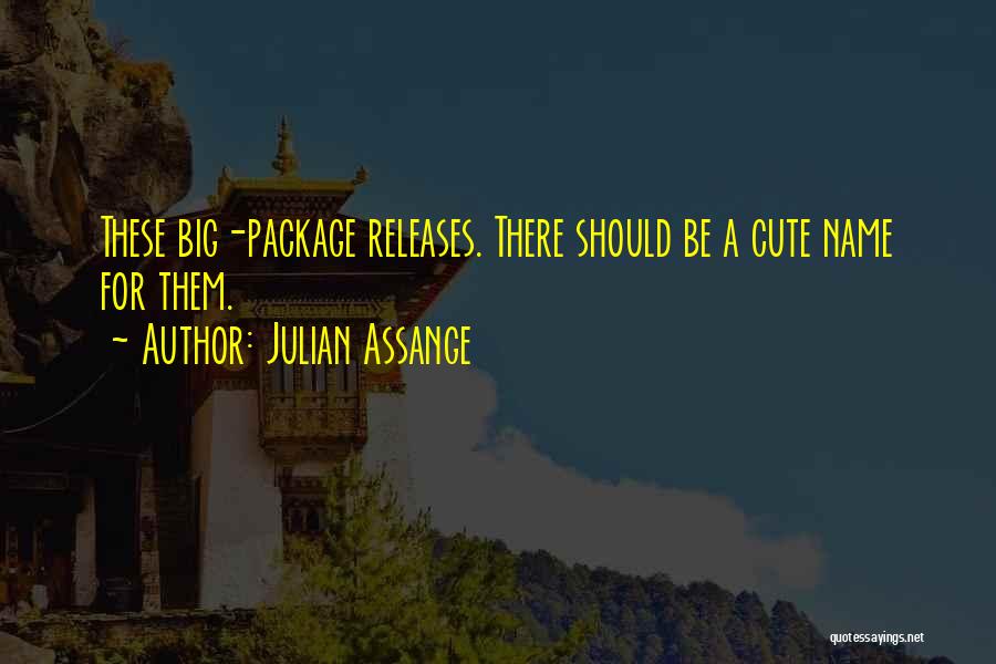 Julian Assange Quotes: These Big-package Releases. There Should Be A Cute Name For Them.