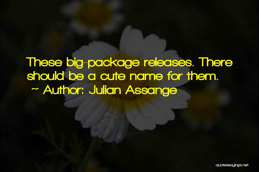 Julian Assange Quotes: These Big-package Releases. There Should Be A Cute Name For Them.