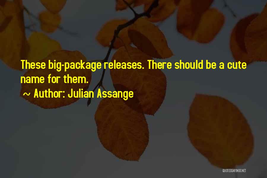 Julian Assange Quotes: These Big-package Releases. There Should Be A Cute Name For Them.