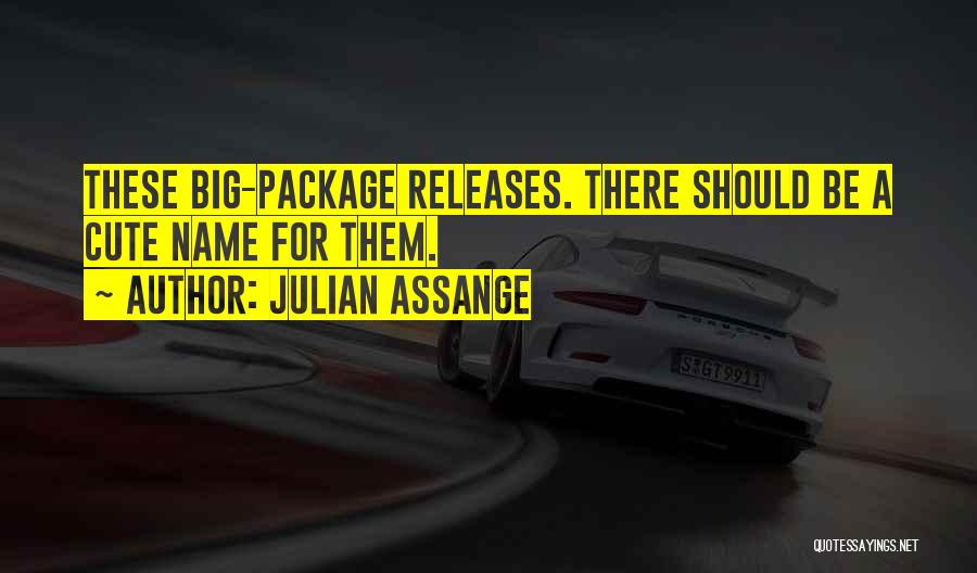 Julian Assange Quotes: These Big-package Releases. There Should Be A Cute Name For Them.