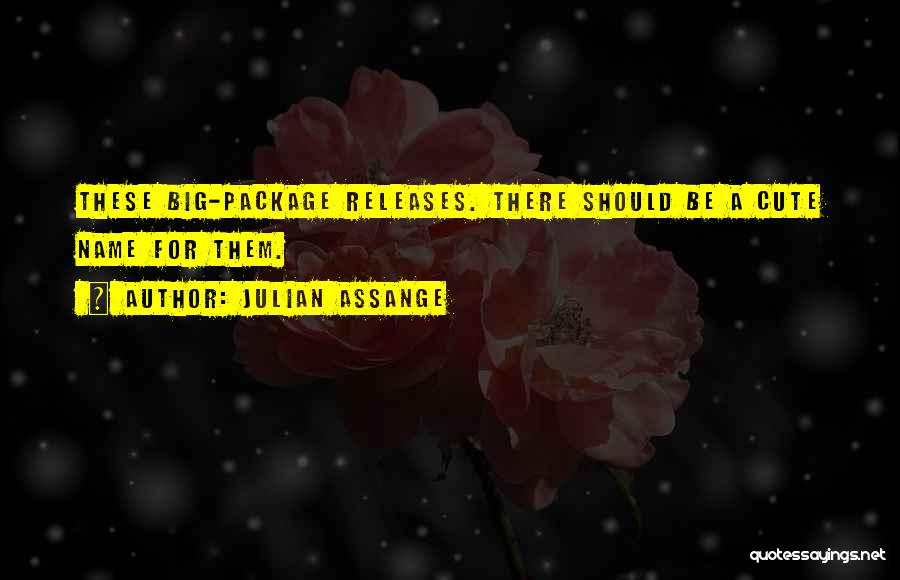 Julian Assange Quotes: These Big-package Releases. There Should Be A Cute Name For Them.