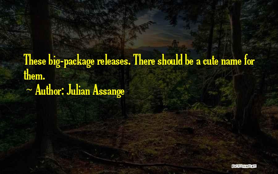 Julian Assange Quotes: These Big-package Releases. There Should Be A Cute Name For Them.