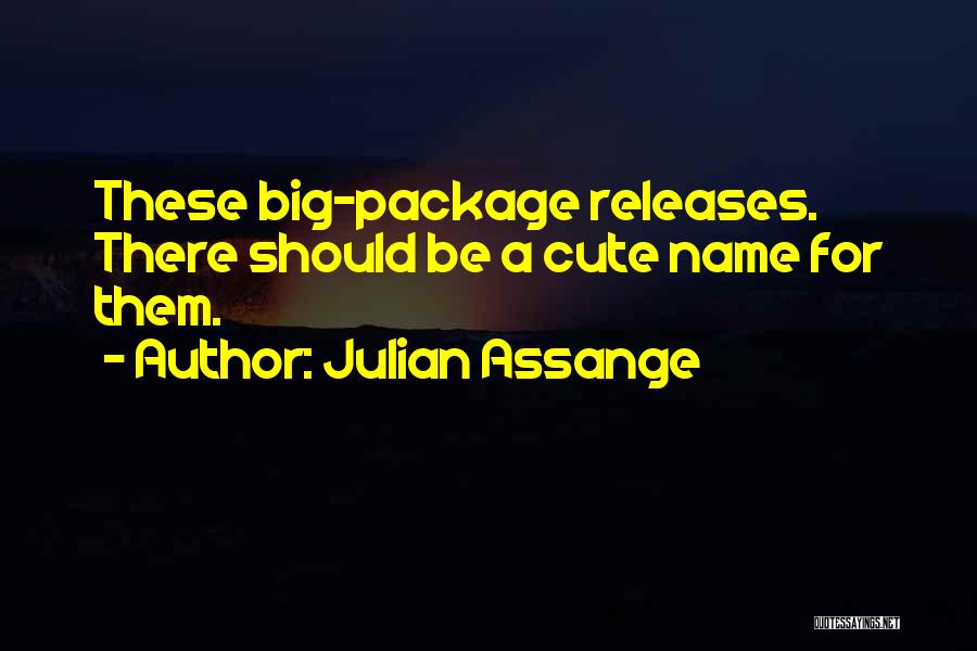 Julian Assange Quotes: These Big-package Releases. There Should Be A Cute Name For Them.