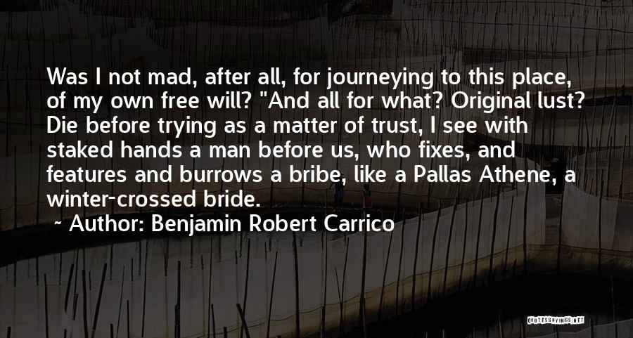 Benjamin Robert Carrico Quotes: Was I Not Mad, After All, For Journeying To This Place, Of My Own Free Will? And All For What?