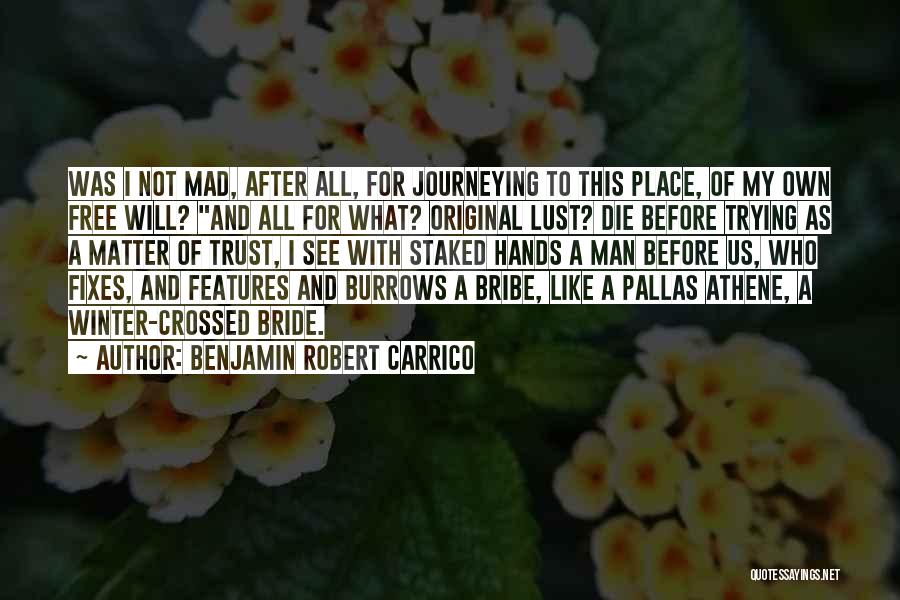 Benjamin Robert Carrico Quotes: Was I Not Mad, After All, For Journeying To This Place, Of My Own Free Will? And All For What?