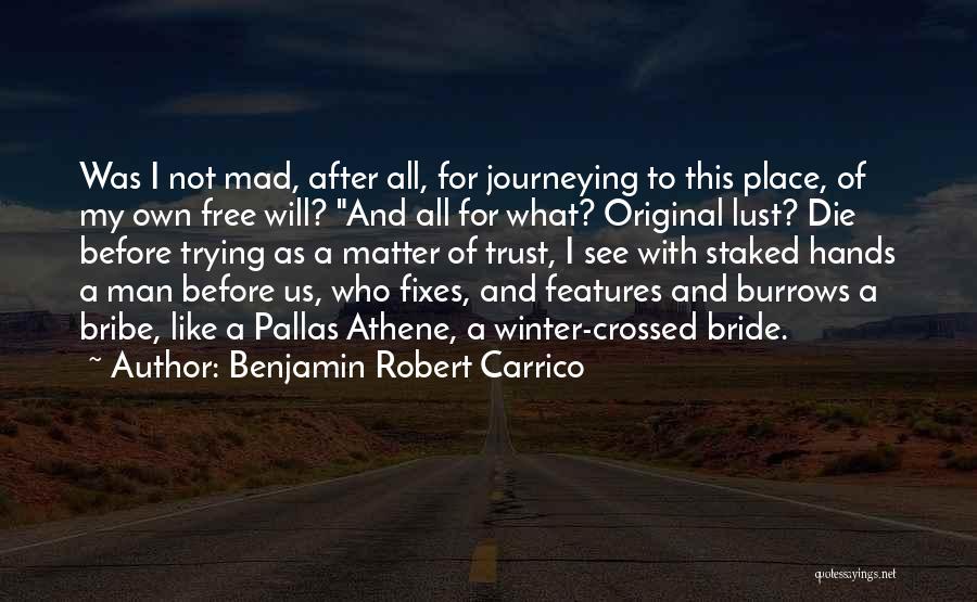 Benjamin Robert Carrico Quotes: Was I Not Mad, After All, For Journeying To This Place, Of My Own Free Will? And All For What?