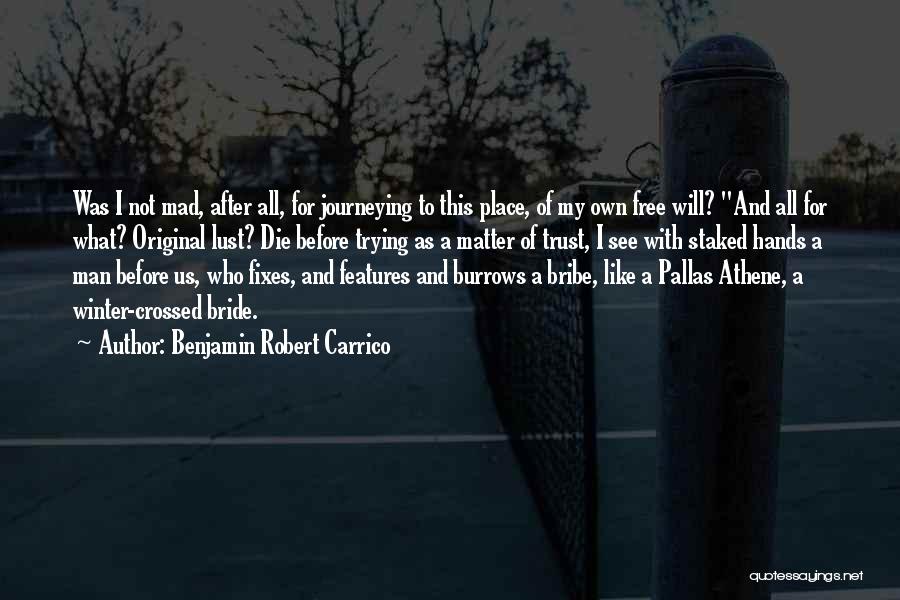 Benjamin Robert Carrico Quotes: Was I Not Mad, After All, For Journeying To This Place, Of My Own Free Will? And All For What?