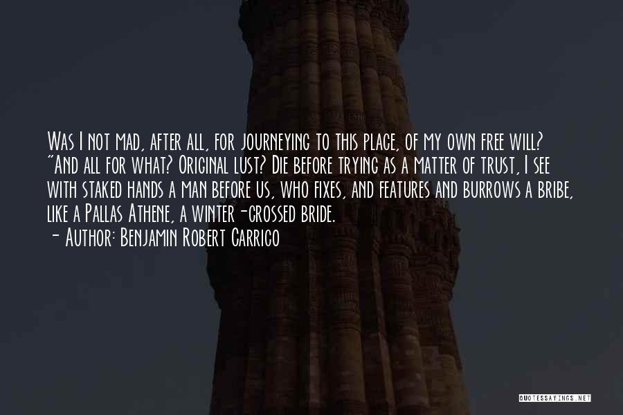 Benjamin Robert Carrico Quotes: Was I Not Mad, After All, For Journeying To This Place, Of My Own Free Will? And All For What?