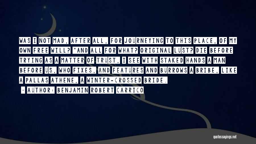 Benjamin Robert Carrico Quotes: Was I Not Mad, After All, For Journeying To This Place, Of My Own Free Will? And All For What?