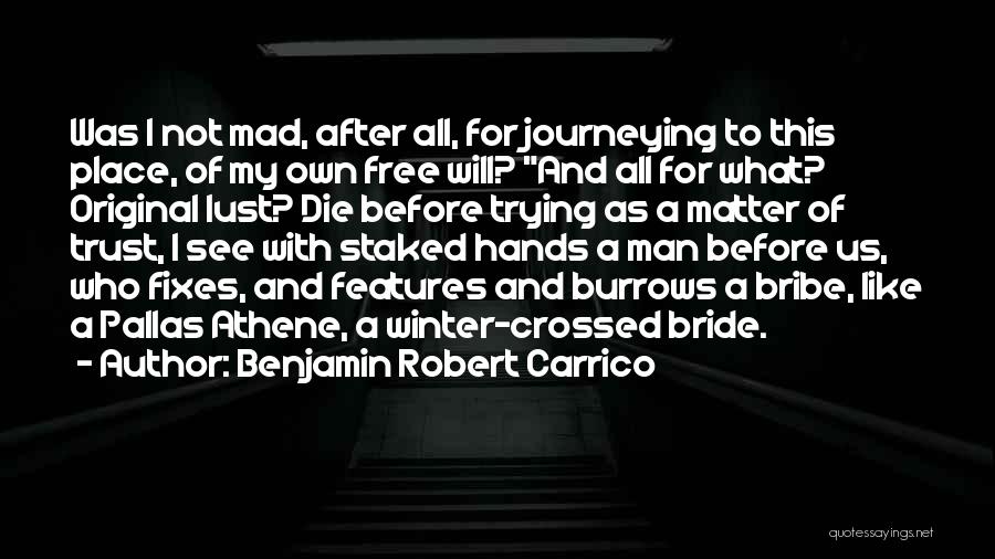 Benjamin Robert Carrico Quotes: Was I Not Mad, After All, For Journeying To This Place, Of My Own Free Will? And All For What?