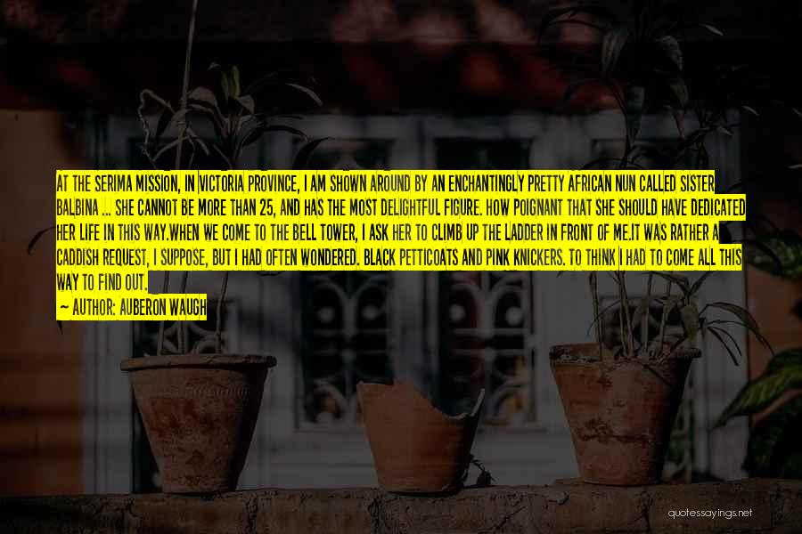 Auberon Waugh Quotes: At The Serima Mission, In Victoria Province, I Am Shown Around By An Enchantingly Pretty African Nun Called Sister Balbina