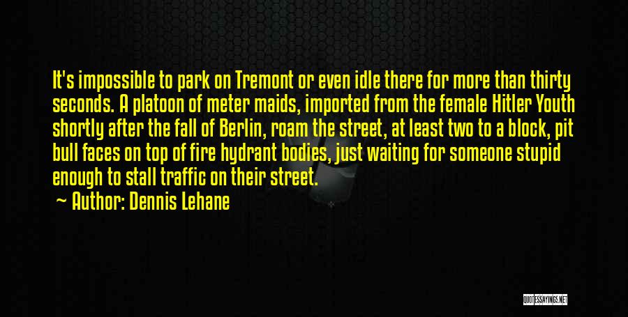 Dennis Lehane Quotes: It's Impossible To Park On Tremont Or Even Idle There For More Than Thirty Seconds. A Platoon Of Meter Maids,