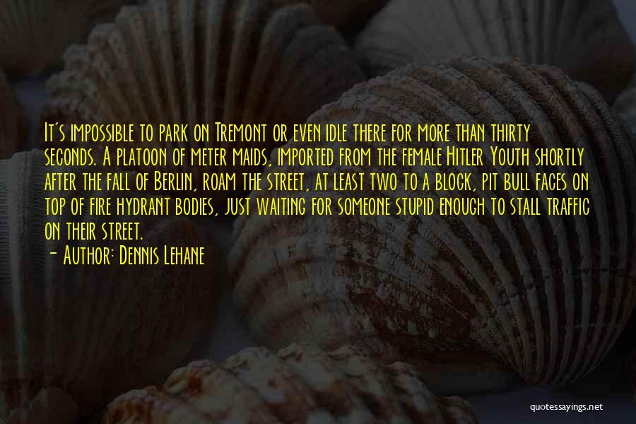 Dennis Lehane Quotes: It's Impossible To Park On Tremont Or Even Idle There For More Than Thirty Seconds. A Platoon Of Meter Maids,