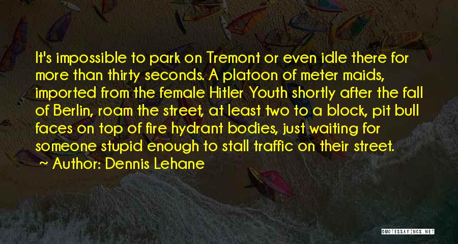 Dennis Lehane Quotes: It's Impossible To Park On Tremont Or Even Idle There For More Than Thirty Seconds. A Platoon Of Meter Maids,