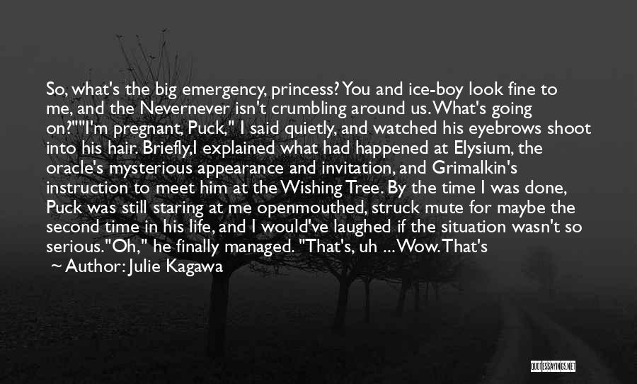 Julie Kagawa Quotes: So, What's The Big Emergency, Princess? You And Ice-boy Look Fine To Me, And The Nevernever Isn't Crumbling Around Us.