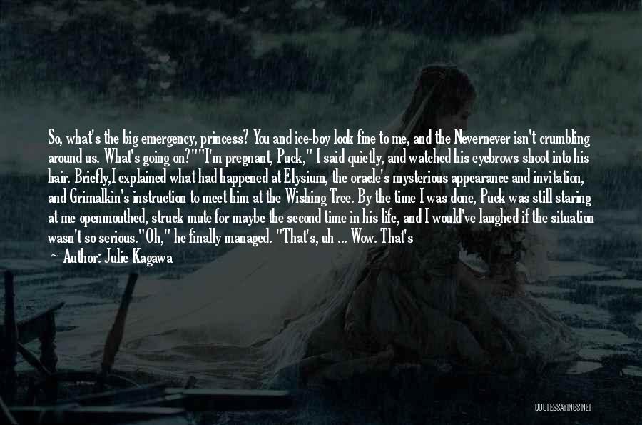 Julie Kagawa Quotes: So, What's The Big Emergency, Princess? You And Ice-boy Look Fine To Me, And The Nevernever Isn't Crumbling Around Us.