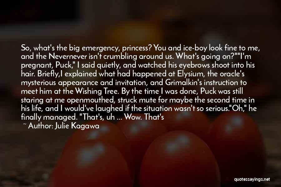 Julie Kagawa Quotes: So, What's The Big Emergency, Princess? You And Ice-boy Look Fine To Me, And The Nevernever Isn't Crumbling Around Us.