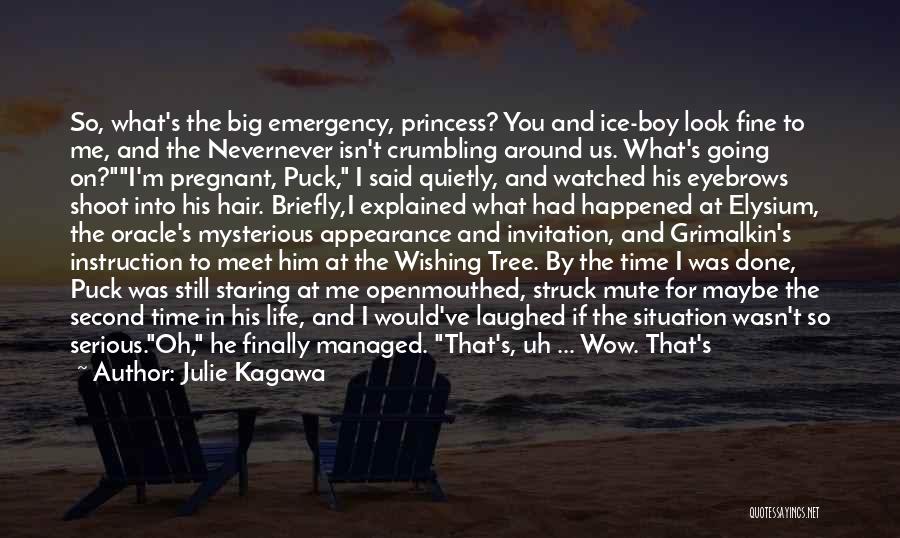 Julie Kagawa Quotes: So, What's The Big Emergency, Princess? You And Ice-boy Look Fine To Me, And The Nevernever Isn't Crumbling Around Us.