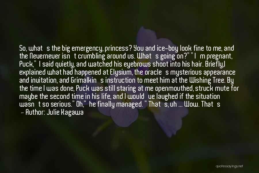 Julie Kagawa Quotes: So, What's The Big Emergency, Princess? You And Ice-boy Look Fine To Me, And The Nevernever Isn't Crumbling Around Us.