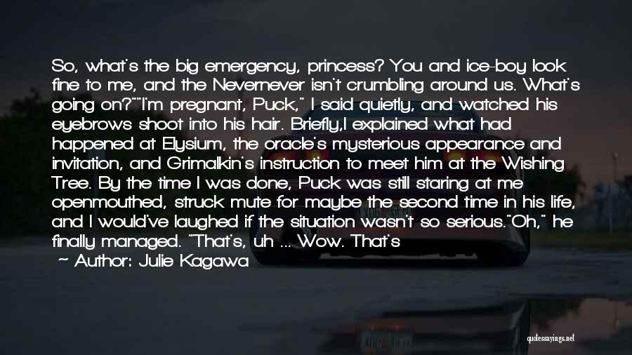 Julie Kagawa Quotes: So, What's The Big Emergency, Princess? You And Ice-boy Look Fine To Me, And The Nevernever Isn't Crumbling Around Us.