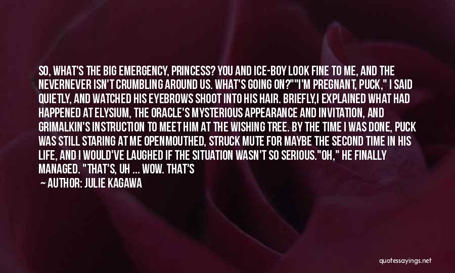 Julie Kagawa Quotes: So, What's The Big Emergency, Princess? You And Ice-boy Look Fine To Me, And The Nevernever Isn't Crumbling Around Us.