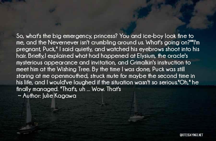 Julie Kagawa Quotes: So, What's The Big Emergency, Princess? You And Ice-boy Look Fine To Me, And The Nevernever Isn't Crumbling Around Us.