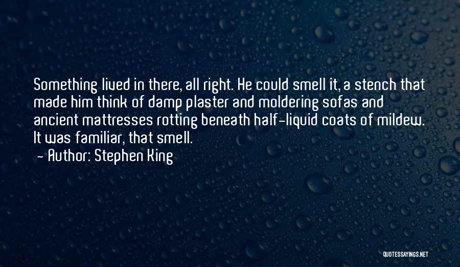Stephen King Quotes: Something Lived In There, All Right. He Could Smell It, A Stench That Made Him Think Of Damp Plaster And