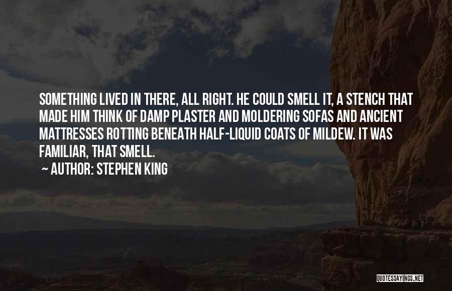 Stephen King Quotes: Something Lived In There, All Right. He Could Smell It, A Stench That Made Him Think Of Damp Plaster And