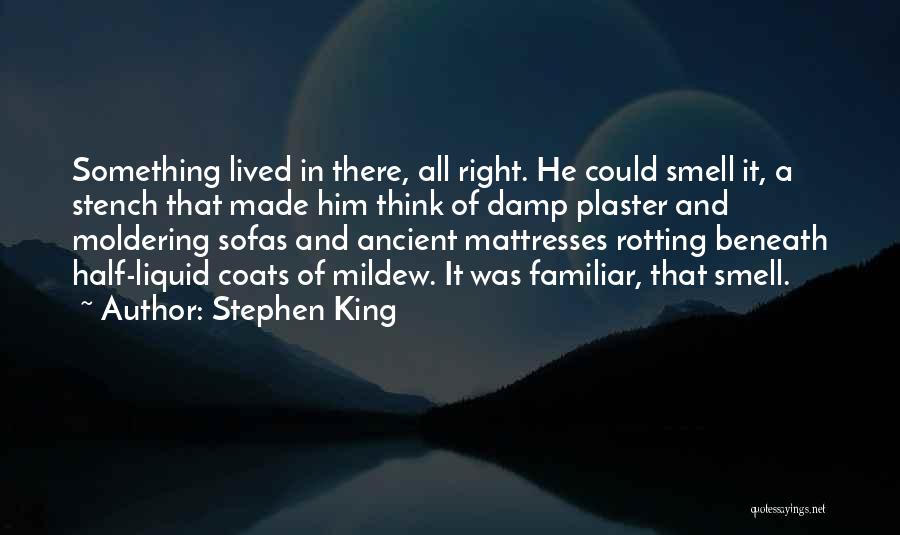 Stephen King Quotes: Something Lived In There, All Right. He Could Smell It, A Stench That Made Him Think Of Damp Plaster And