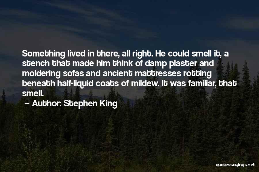 Stephen King Quotes: Something Lived In There, All Right. He Could Smell It, A Stench That Made Him Think Of Damp Plaster And