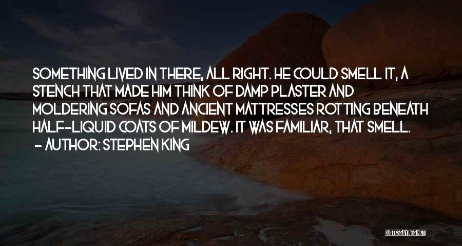 Stephen King Quotes: Something Lived In There, All Right. He Could Smell It, A Stench That Made Him Think Of Damp Plaster And