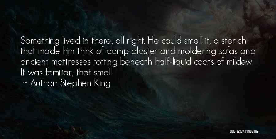 Stephen King Quotes: Something Lived In There, All Right. He Could Smell It, A Stench That Made Him Think Of Damp Plaster And