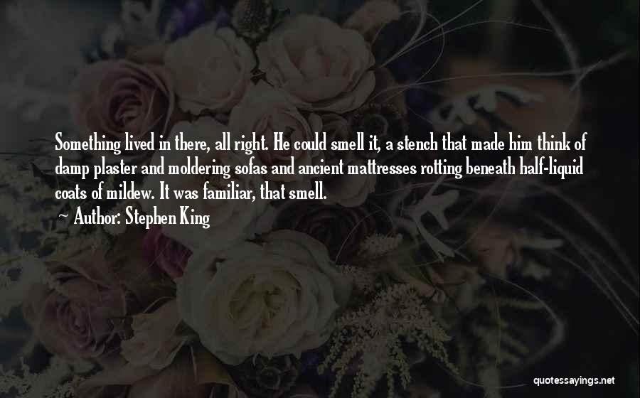 Stephen King Quotes: Something Lived In There, All Right. He Could Smell It, A Stench That Made Him Think Of Damp Plaster And