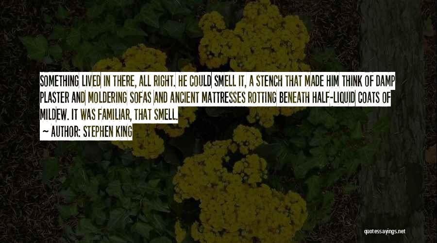 Stephen King Quotes: Something Lived In There, All Right. He Could Smell It, A Stench That Made Him Think Of Damp Plaster And