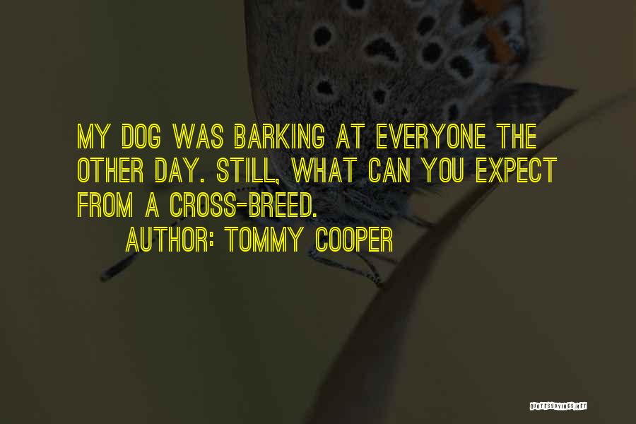 Tommy Cooper Quotes: My Dog Was Barking At Everyone The Other Day. Still, What Can You Expect From A Cross-breed.