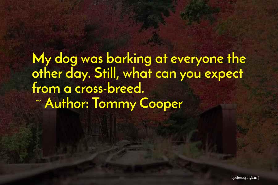 Tommy Cooper Quotes: My Dog Was Barking At Everyone The Other Day. Still, What Can You Expect From A Cross-breed.