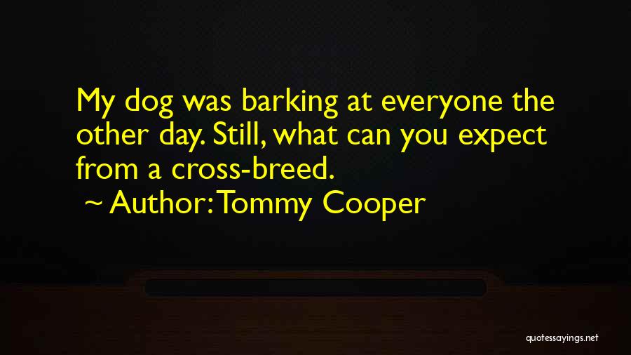 Tommy Cooper Quotes: My Dog Was Barking At Everyone The Other Day. Still, What Can You Expect From A Cross-breed.