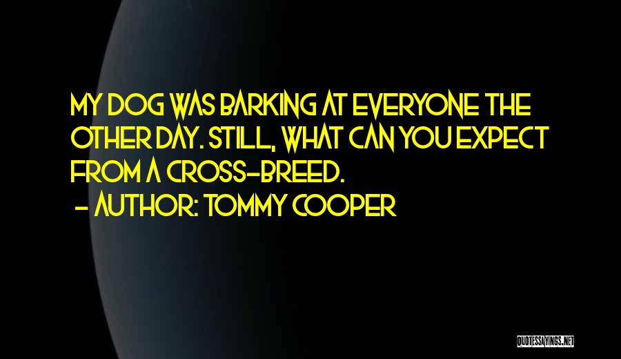 Tommy Cooper Quotes: My Dog Was Barking At Everyone The Other Day. Still, What Can You Expect From A Cross-breed.