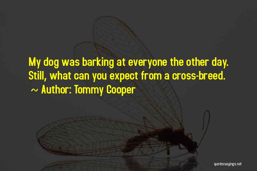 Tommy Cooper Quotes: My Dog Was Barking At Everyone The Other Day. Still, What Can You Expect From A Cross-breed.